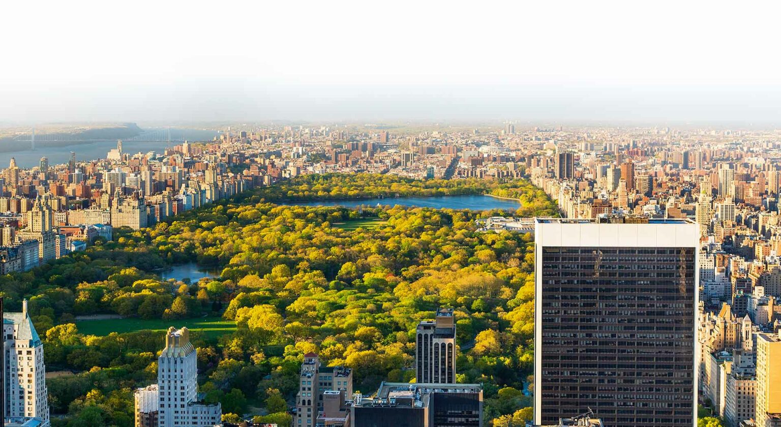 Digestive Disease Care in East Setauket NY