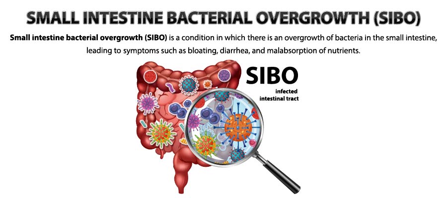 Why Am I Always Bloated? Top Causes, Treatments & When to See a GI Doctor
