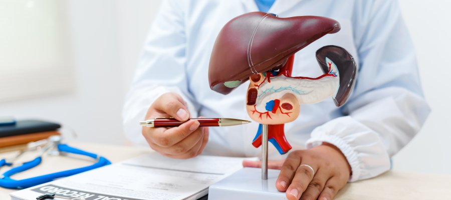 Liver Cancer Symptoms | Digestive Disease Care Near Me in Babylon NY, East Setauket NY, Forest Hills NY, Jericho NY, Lake Success NY, Melville NY, Mineola NY, Massapequa NY, New Hyde Park NY, and Riverhead NY Liver Cancer Symptoms | Digestive Disease Care Near Me in Babylon NY, East Setauket NY, Forest Hills NY, Jericho NY, Lake Success NY, Melville NY, Mineola NY, Massapequa NY, New Hyde Park NY, and Riverhead NY