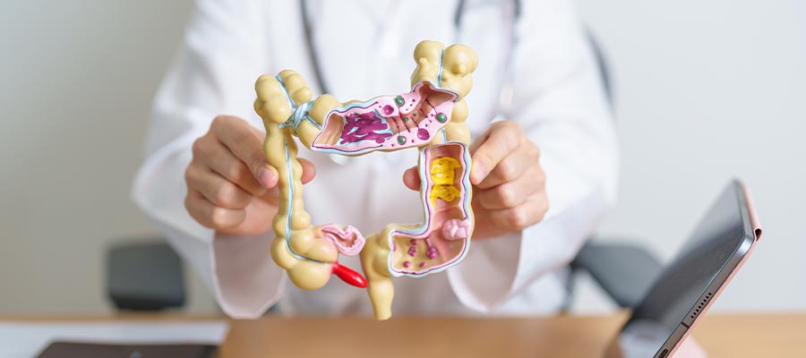 Inflammatory Bowel Disease (IBD) Treatment Specialist Near Me in New Hyde Park, NY
